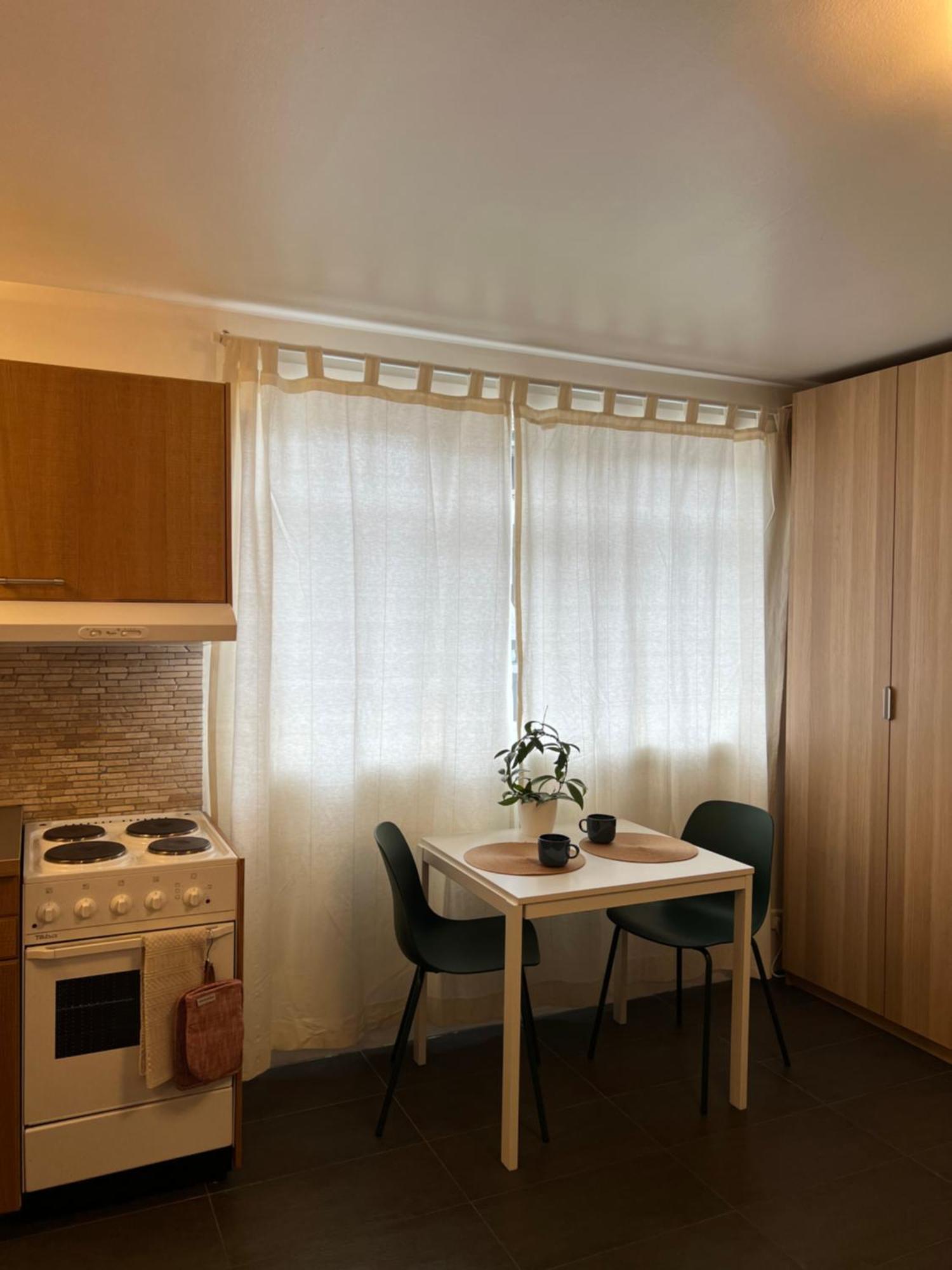 Reykjavik City Center - Privat Studio Apartment Eksteriør billede